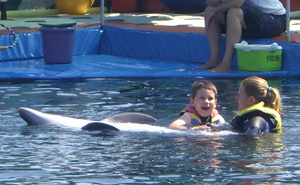 Dolphin Therapy Himaduna family