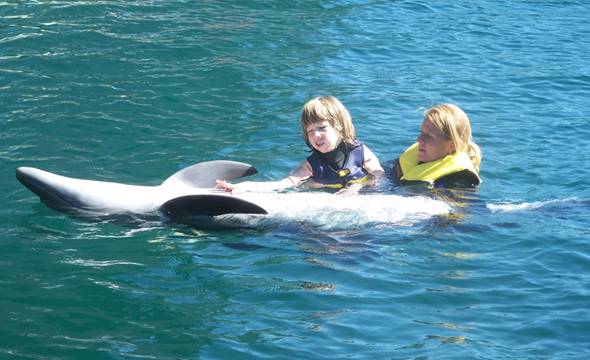 Dolphintherapie in Antalya