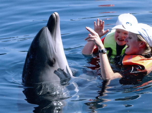 Dolphin Therapy of Janik | Geislinger Newspaper Report (Source www.swp.de)