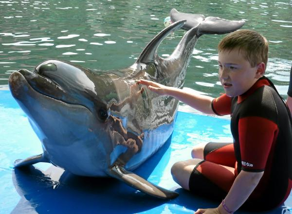 Tim lässt die Delfinpfeife erklingen (Quelle: Der Patriot)