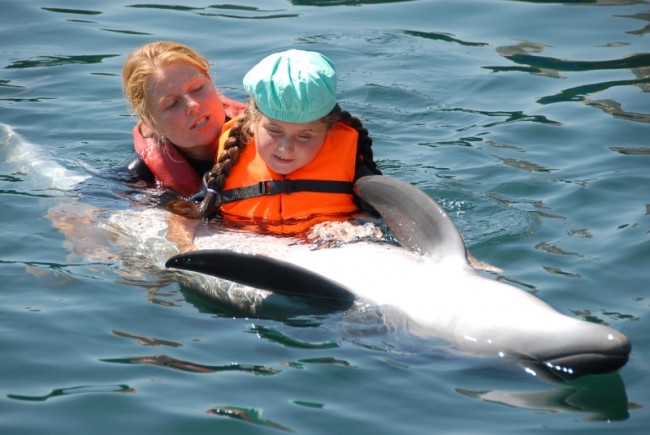 Dolphin Therapy in Antalya