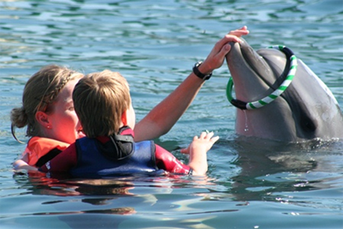 Therapy with dolphins of family Schürbusch