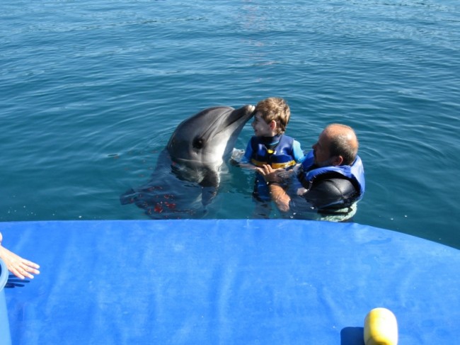 Dolphin Therapy in Antalya of Kirill