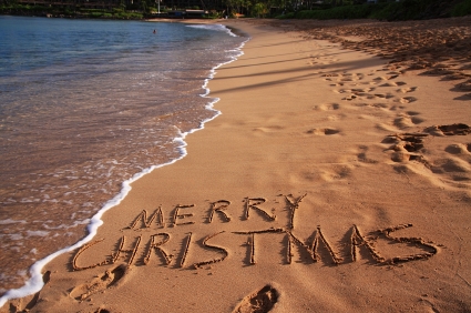 Merry Christmas and Happy New Year from Dolphin Therapy Center in Antalya