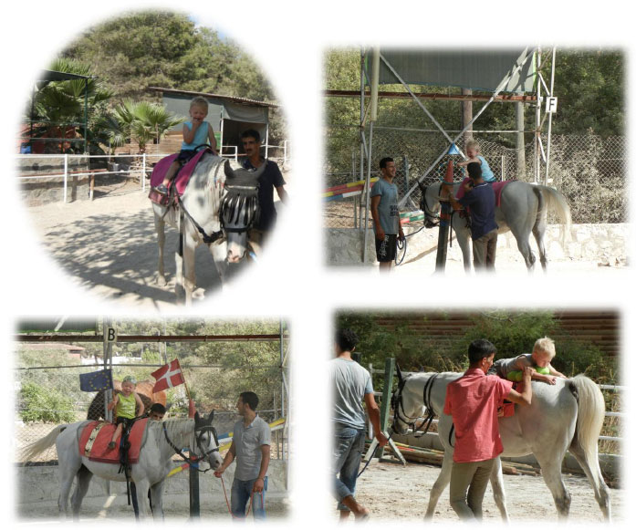 Antalya Dolphin Therapy Center with Hippo Therapy