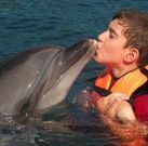 Dolphin Therapy of Marty