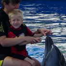 Niklas with the dolphins