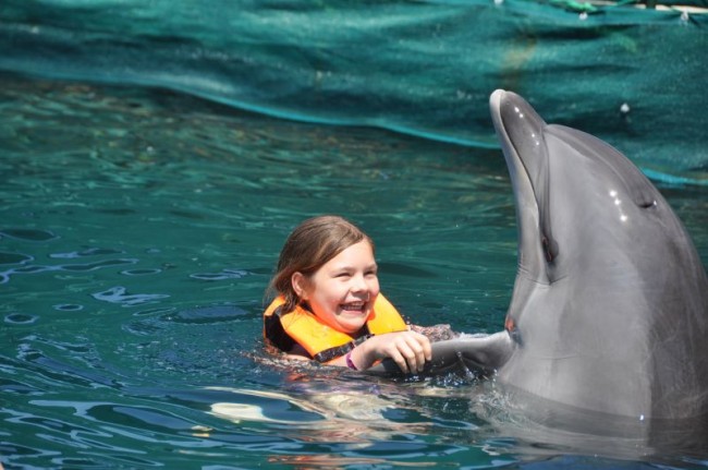 Make A Wish: Dolphin Therapy in Antalya