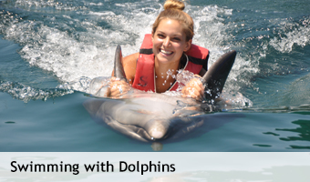 Swimming_with_Dolphins