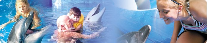 full width banner Dolphin Therapy with Axel ans happy child