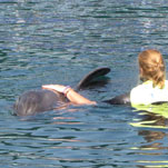 La terapia con i delfini promuove la lingua e la concentrazione di Sandra