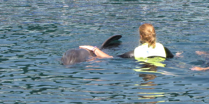Delfintherapie fordert Sprache und Konzentration bei Sandra
