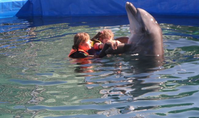 Nele´s Dolphin Therapy in Antalya