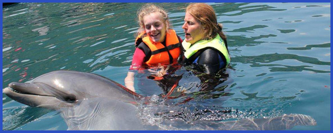 dolphin-therapy-report-vroni-12