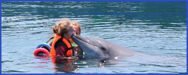 dolphin-therapy-report-vroni-20
