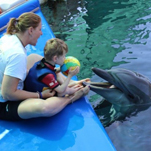 Luke schwimmt mit den Delfinen in der Türkei