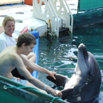 Erfolgreiche Delfintherapie für Stefan