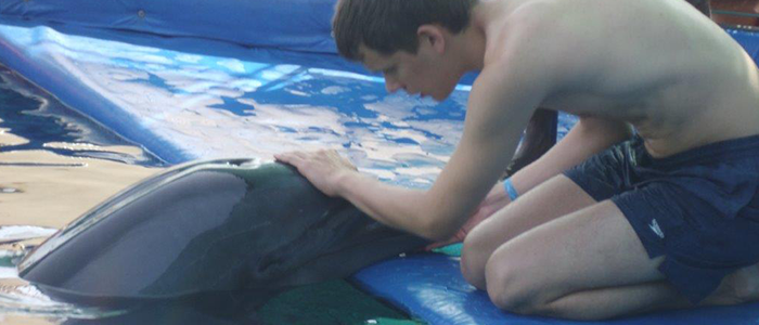 Sixth Dolphin Therapy for Stefan