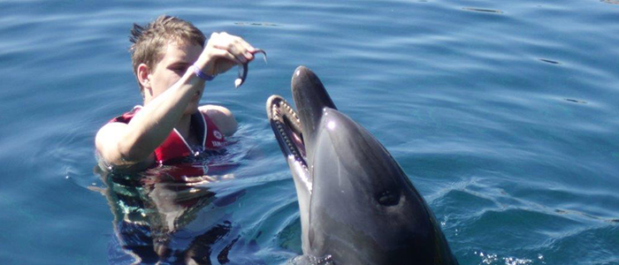 Sixth Dolphin Therapy for Stefan