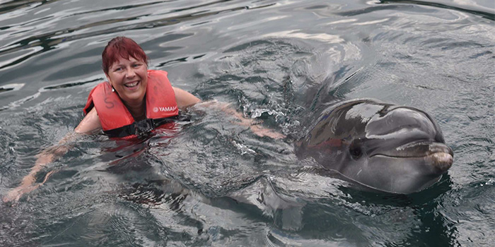 Dolphin Trainer for one day