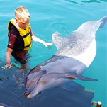 Colins Dolphin Therapy