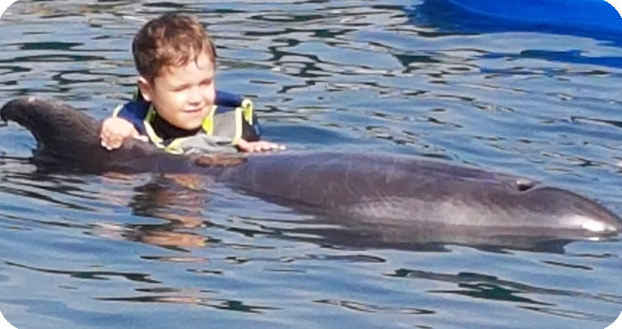 Delfintherapie von Lutz: Schwimmt mit Delfin