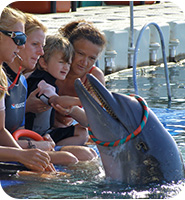 familiy is playing with a dolphin